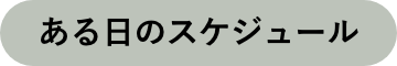 ある日のスケジュール